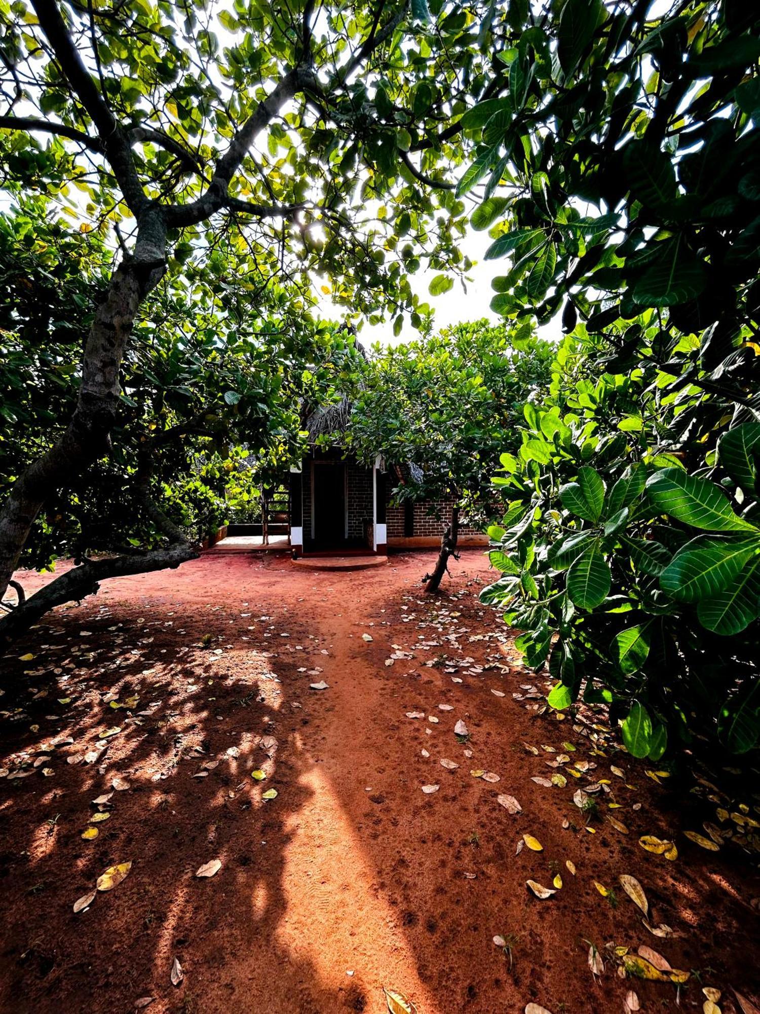 Boomerang Community Auroville Exterior foto