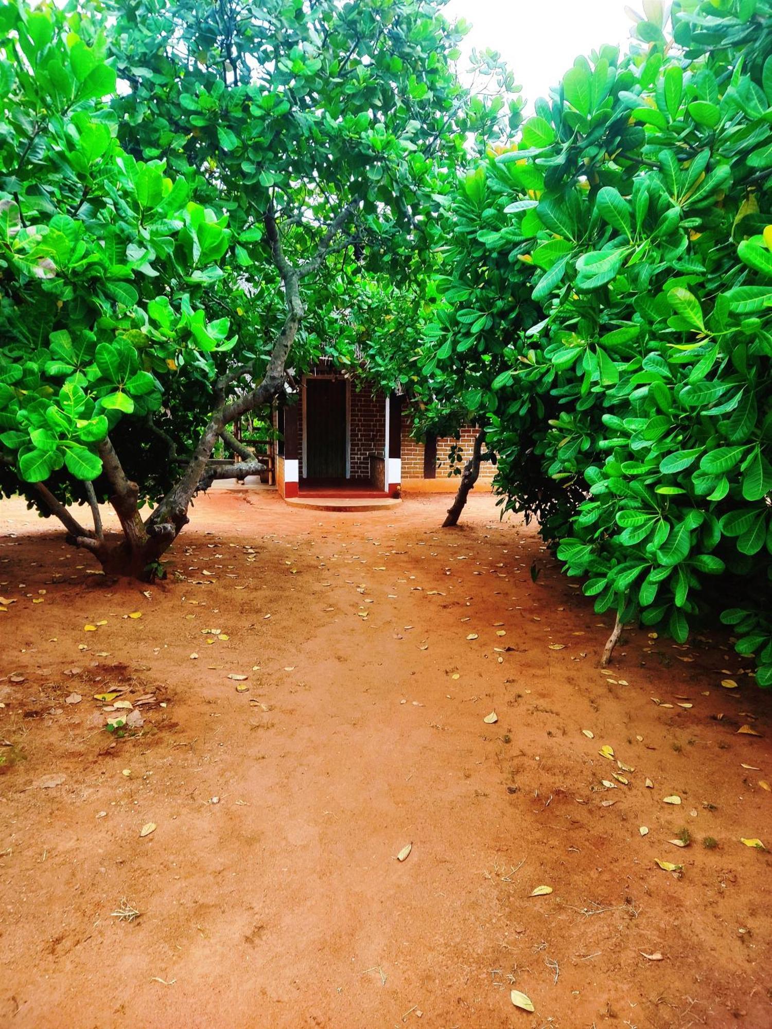 Boomerang Community Auroville Exterior foto