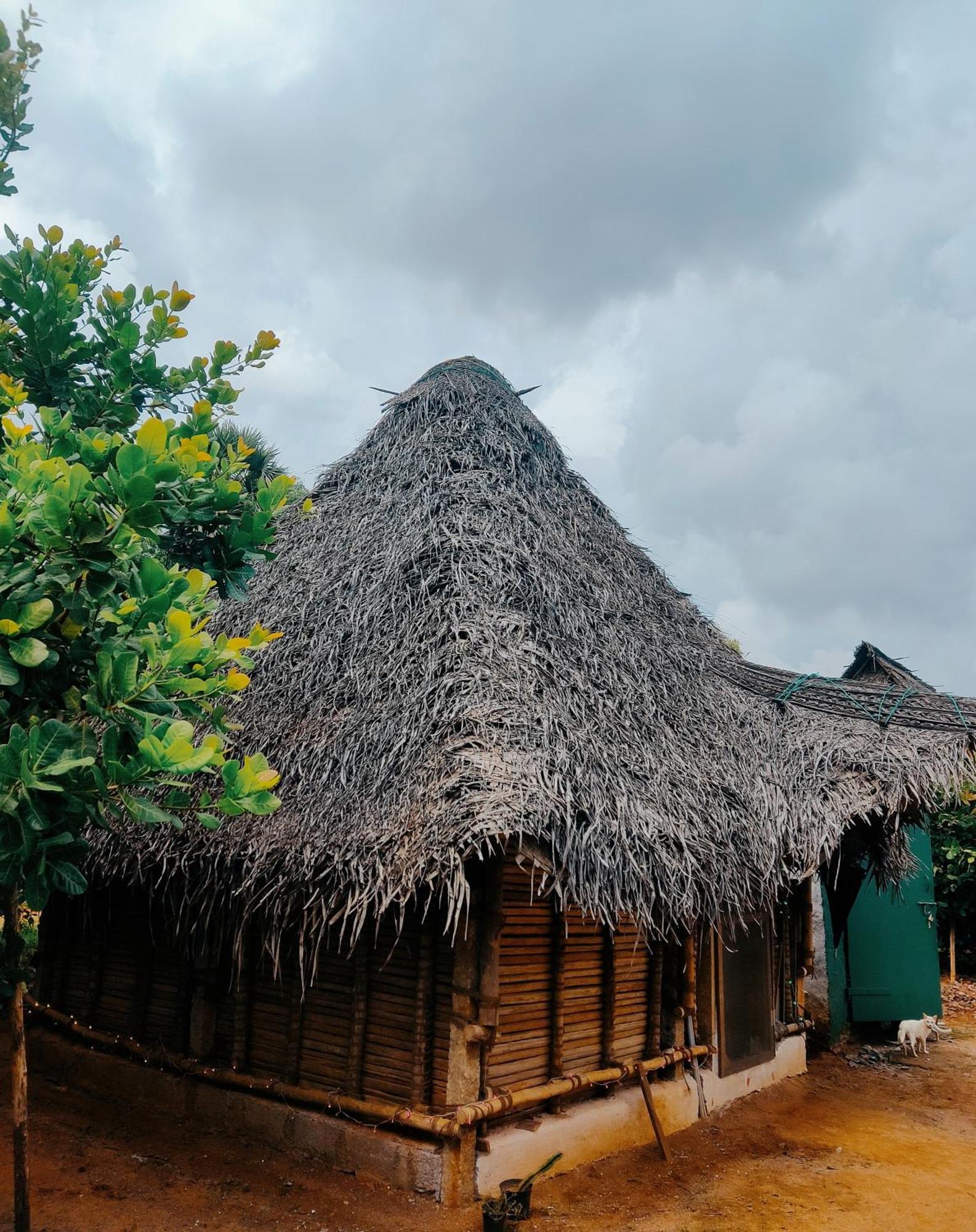Boomerang Community Auroville Exterior foto